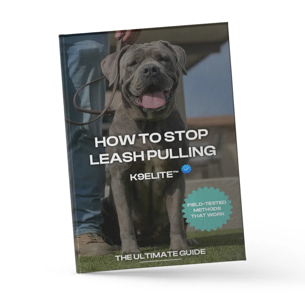 How to Stop Leash Pulling – K9ELITE™