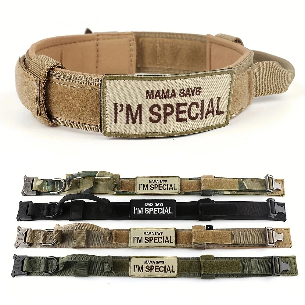 K9ELITE™ Tactical Training Collar