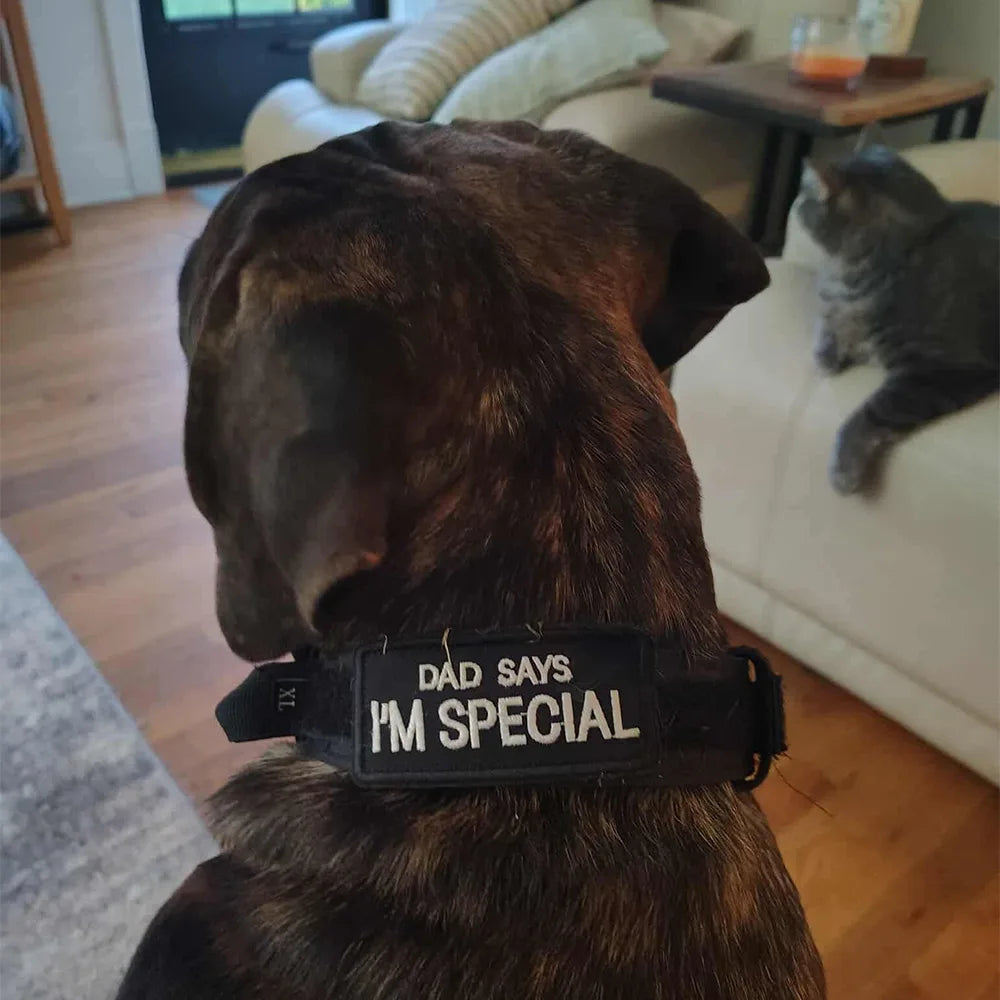 K9ELITE™ Tactical Training Collar