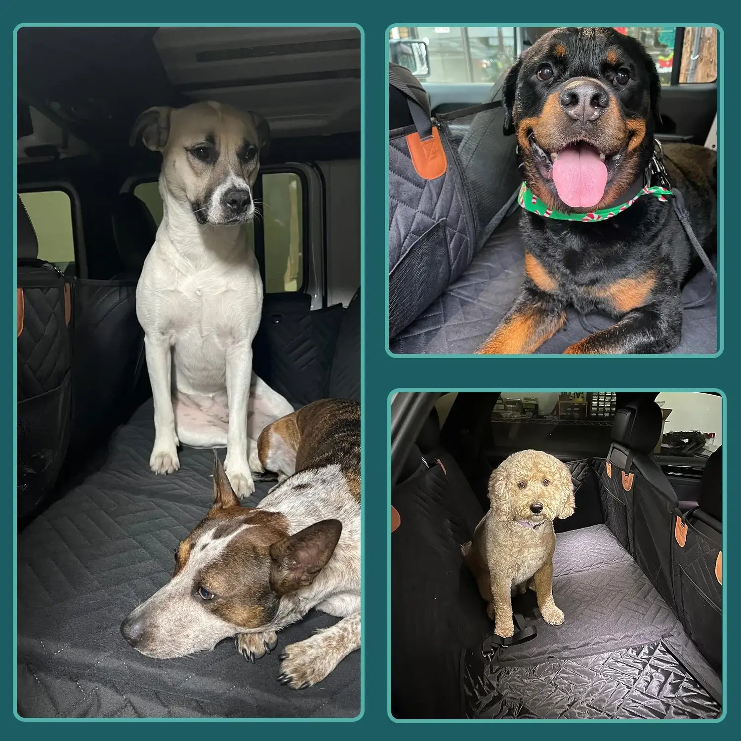 pawbridge backseat extender for dogs for any dog & any car