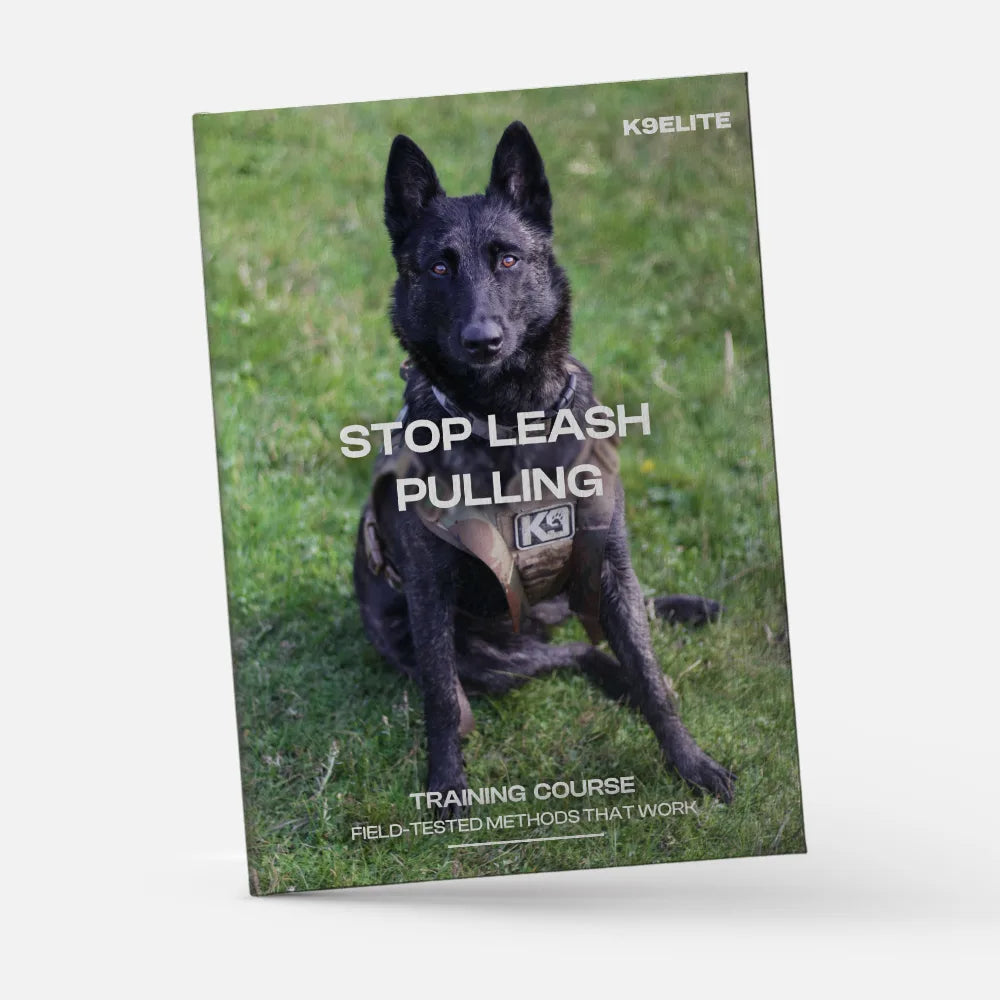 STOP LEASH PULLING – TRAINING COURSE